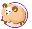 ���r��