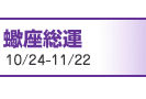 嶍����^